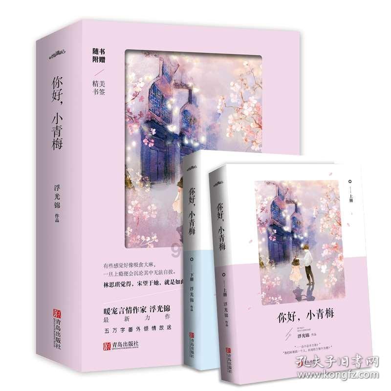 索菲亚清洁公园